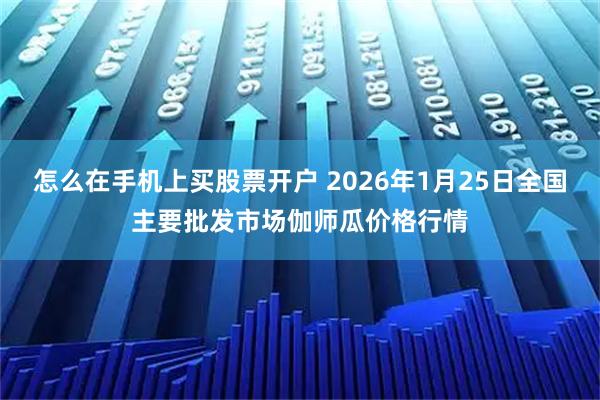 怎么在手机上买股票开户 2026年1月25日全国主要批发市场伽师瓜价格行情