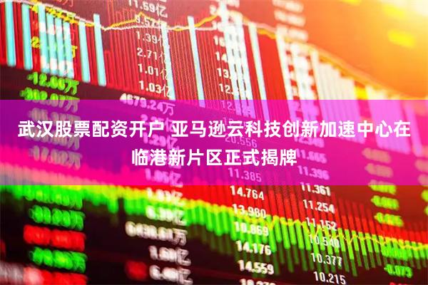 武汉股票配资开户 亚马逊云科技创新加速中心在临港新片区正式揭牌