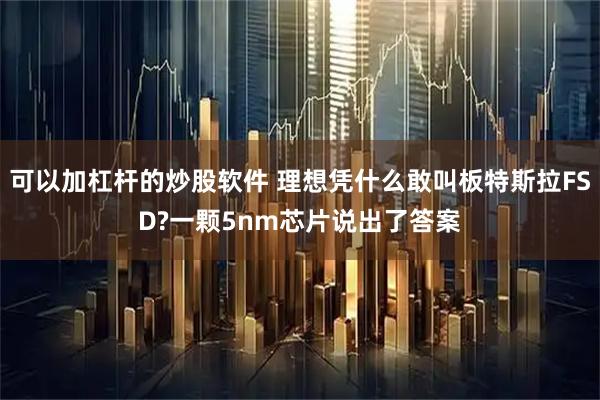 可以加杠杆的炒股软件 理想凭什么敢叫板特斯拉FSD?一颗5nm芯片说出了答案